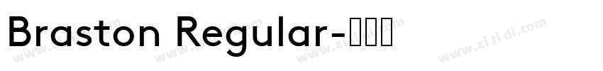 Braston Regular字体转换